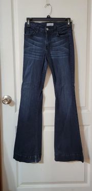 Judy blue Dark Wash Flares