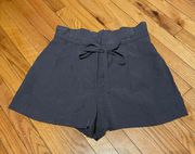 NWOT Linen Shorts High Waist Paperbag Belt Tie Pleated Pinstripes