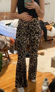 NWT boutique cheetah flare flowy tight pants 