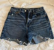 Outfitters Jean Shorts