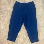 PureJill | indigo Tencel pull on pants