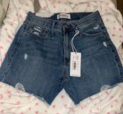 Frayed Jean Shorts