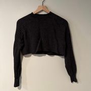 ALLSAINTS Alpaca Blend Crop Sweater in Brown. XS