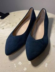 Garnet Hill blue suede pointed toe flats size 7.5