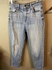Carly Jean Straight Leg Jeans Size 1/27