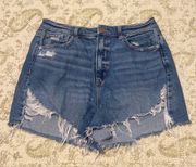 Outfitters High Rise Mom Shorts