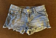 Dark Wash Jean Shorts