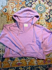 Outfitters Cropped Hoodie