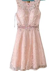 Any Lee Pink Lace Dress Large