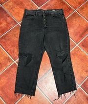 Free People Distressed Jeans