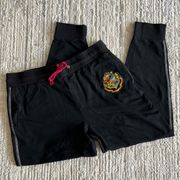 Universal Studios Wizarding World Of Harry Potter Hogwarts House Black Jogger