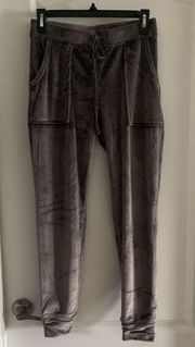 Women’s XS  1960 Revolve Gray Velvet Velour Joggers Lounge Pants