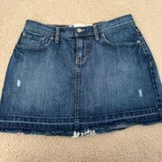 Denim Jean Skirt