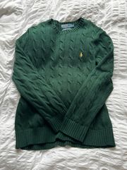 Green Polo Sweater