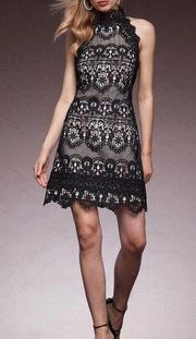 Karen Millen Petite Guipure Lace Woven Halter Mini Dress casual classic stylish