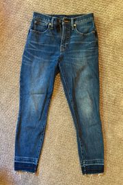 Bridgette Skinny Jeans Size 6/28