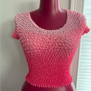 Charlotte Russe Sheer short sleeve multi colorFuchsia crop top Y2K vinta…