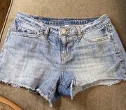 Lauren Conrad Shorts