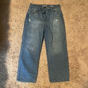 Rewash Super High Rise Reunion Jean