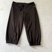 The North Face Womens Sweatpants Size M Black Cropped Joggers Outdoors Hiking