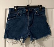 Distressed Vintage Shorts