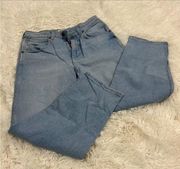 Wrangler light wash mom jeans 27