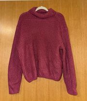 Knit Turtleneck Sweater