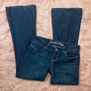 American Eagle Dark Wash Real Flare Low Rise Flare Jean Size 2
