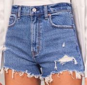 The Mom 4” High Rise Distressed Denim Shorts