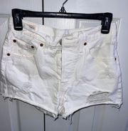 501 Shorts