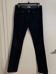 Premium Denim Women’s Low-Rise Straight Jeans Size 27 (Good Condition)