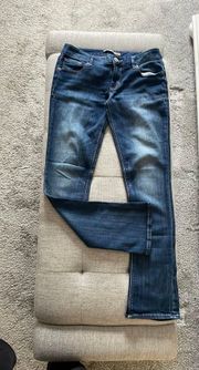 EXPRESS Denim Jeans