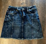 Size 9 Mini Jean Skirt