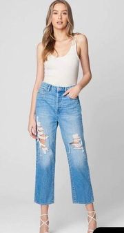 NWT BLANK NYC Baxter Ribcage Straight Leg Jeans Button Fly Size 26 in Loosen Up