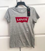 Gray T-Shirt