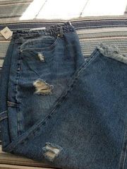 BP Be Responsible Carpenter Jeans Cropped High Rise Distressed Blue Plus Size 20