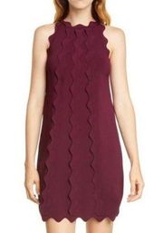 TED BAKER Rickrack Scalloped Rianori Shift Dress NWT in Size 5 (12)