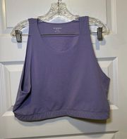 Purple Take Your Time Bra Top size 2XL