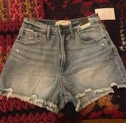 Abercrombie High rise mom short curve love 2/26 NwT