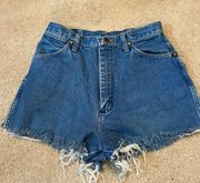 Distressed Vintage Shorts