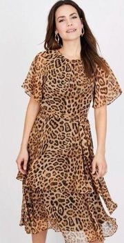 RACHEL ROY COLLECTION Dress Leopard TieWaist Midi Flutter Sleeve Animal NWOT SZ6