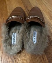 Fur Slides