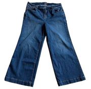 Torrid Wide Leg Vintage Stretch Jean size 18S