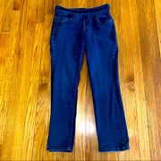 JAG JEANS Women’s High Rise Straight Leg Stretchy Jeans Size 8P
