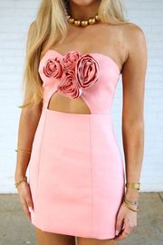 Pink Floral Mini Dress 