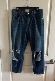 EVERLANE The Summer Jean Distressed High Sz 30