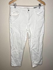 Ella Moss White High Waist Straight Jeans Size 12/31