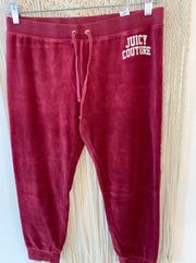 Y2K  raspberry velour velvety joggers