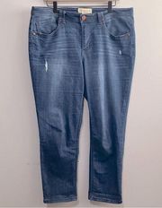 Democracy Lightly Distressed High Rise Blue Jeans Women Size 14