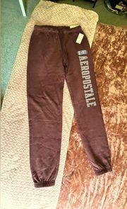 NWT Aeropostale Jogger Pant Size XS